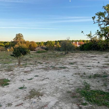 Cozy Farm House In The Countryside Villa Monte Das Figueiras de Lavre Luaran gambar
