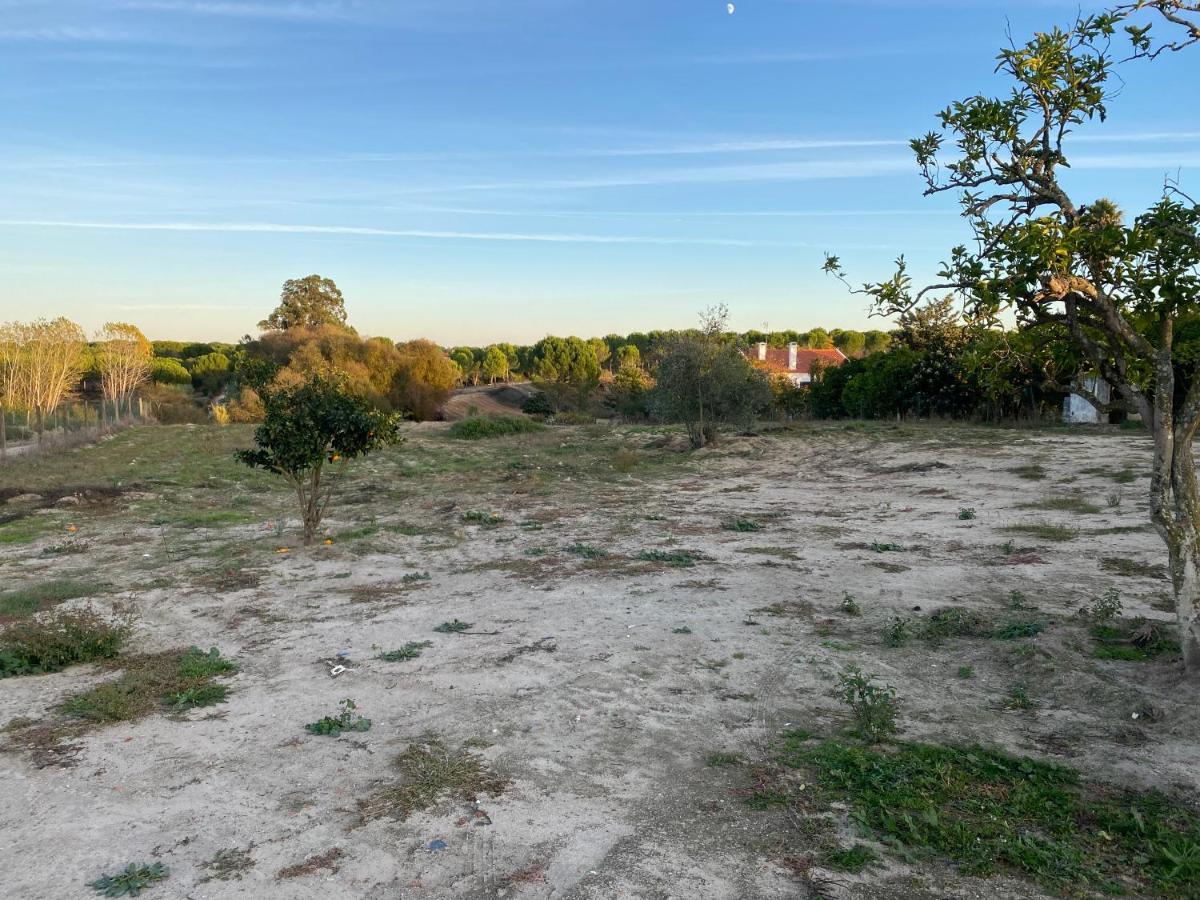 Cozy Farm House In The Countryside Villa Monte Das Figueiras de Lavre Luaran gambar